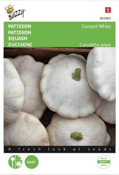 Patisson Custard White (Cucurbita) 15 zaden BU